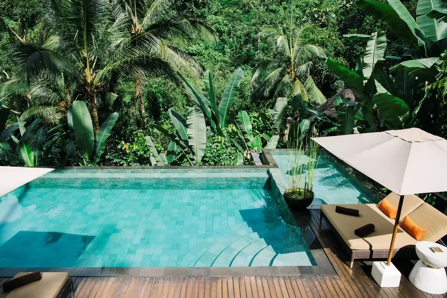 Ein tropischer Pool umgeben von Dschungelpflanzen und Palmen auf Bali