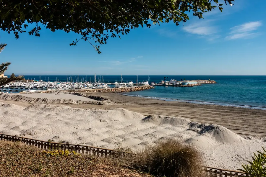 Eine einzelne hohe Palme an einem Sandstrand in Mil Palmeras unter blauem Himmel