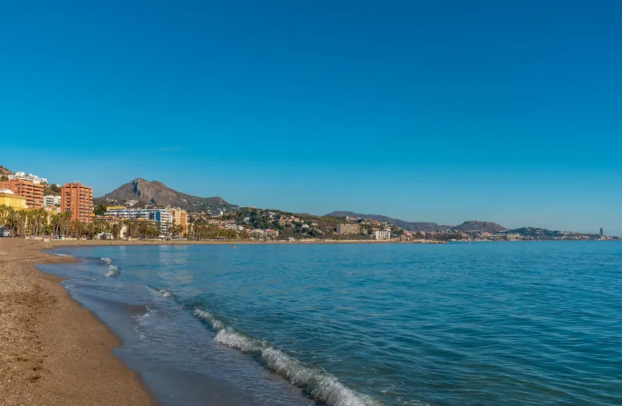 Der Strand La Malagueta in Málaga mit einer Reihe hoher Palmen und der Stadt dahinter