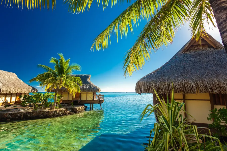 Overwater-Bungalows auf einer grünen Lagune in Moorea mit einem Palmwedel im Vordergrund