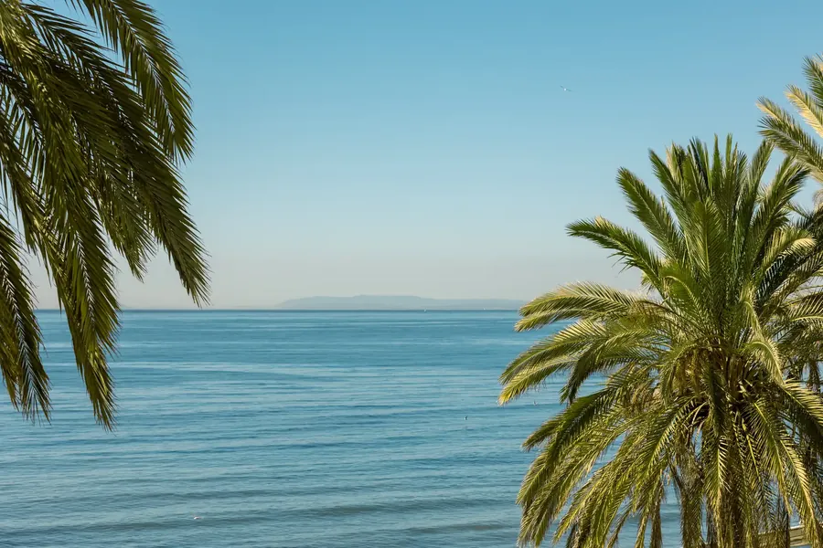 Palmen vor tiefblauem Meer